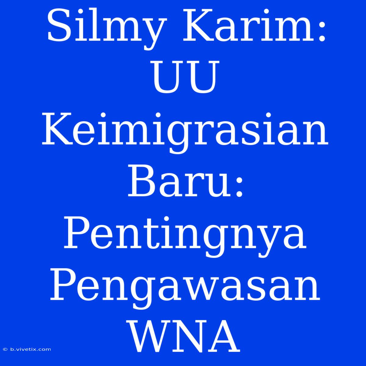 Silmy Karim: UU Keimigrasian Baru: Pentingnya Pengawasan WNA