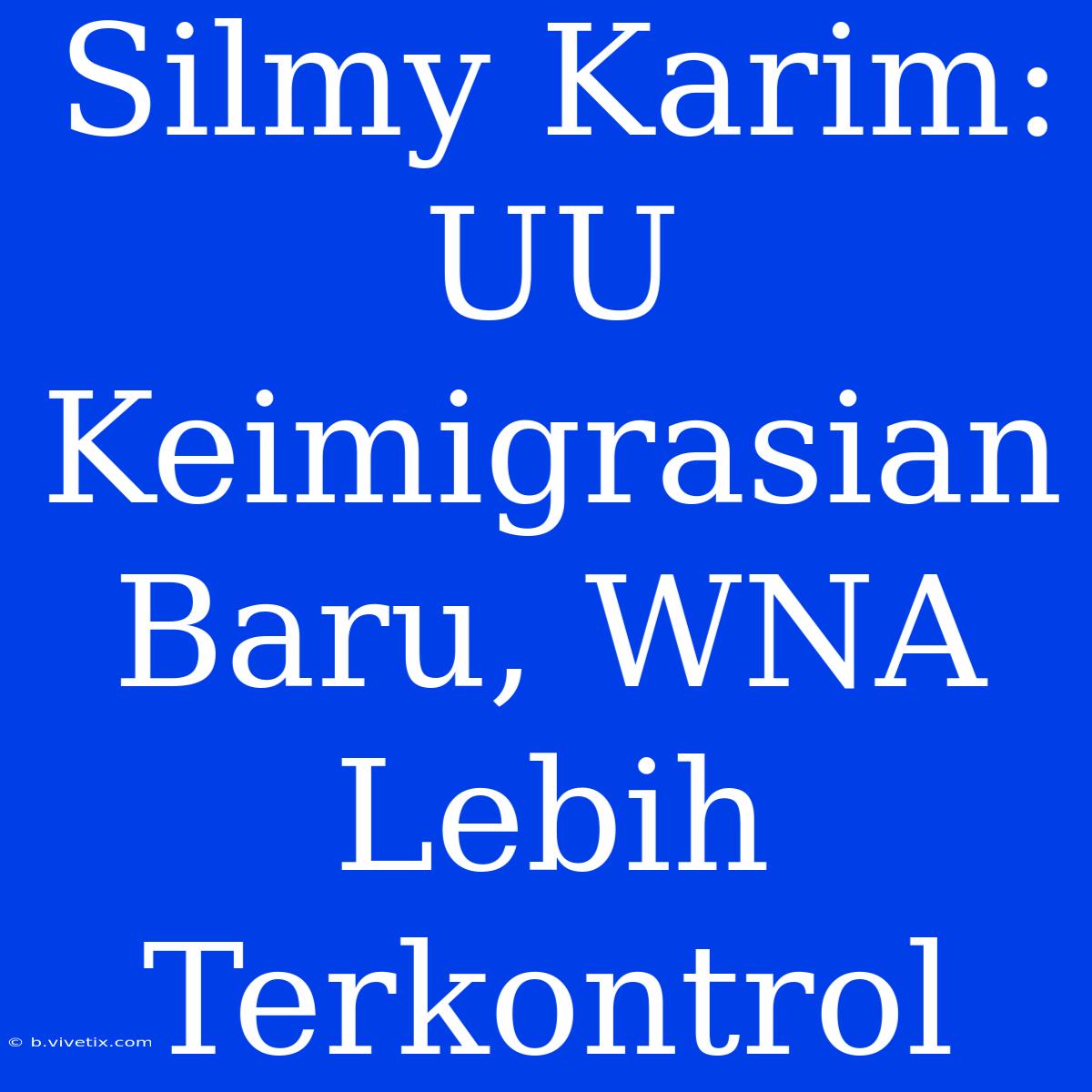 Silmy Karim: UU Keimigrasian Baru, WNA Lebih Terkontrol