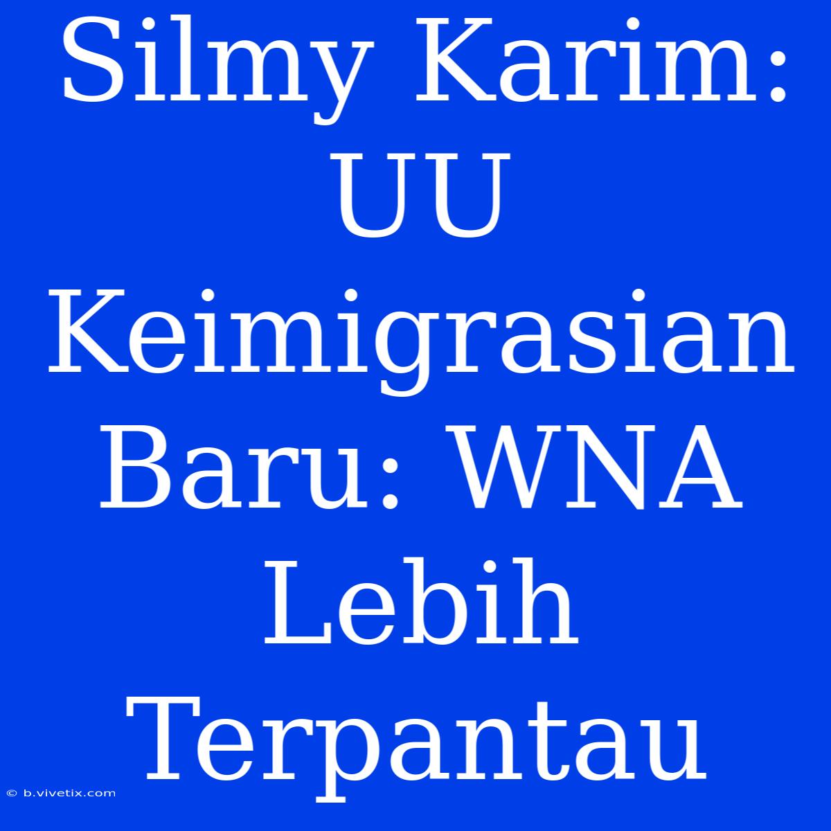 Silmy Karim: UU Keimigrasian Baru: WNA Lebih Terpantau