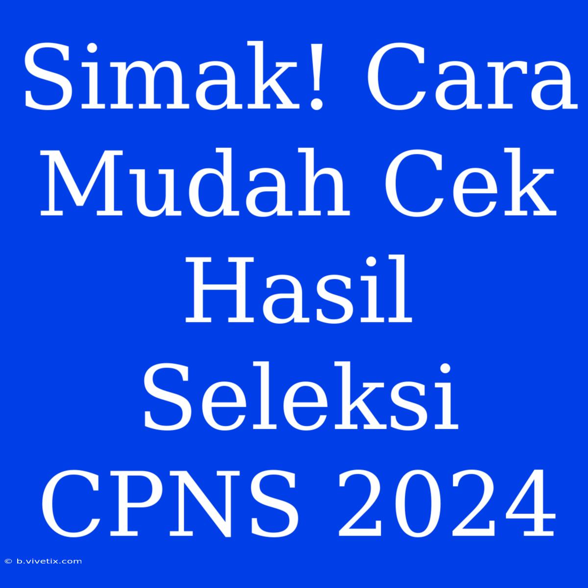 Simak! Cara Mudah Cek Hasil Seleksi CPNS 2024