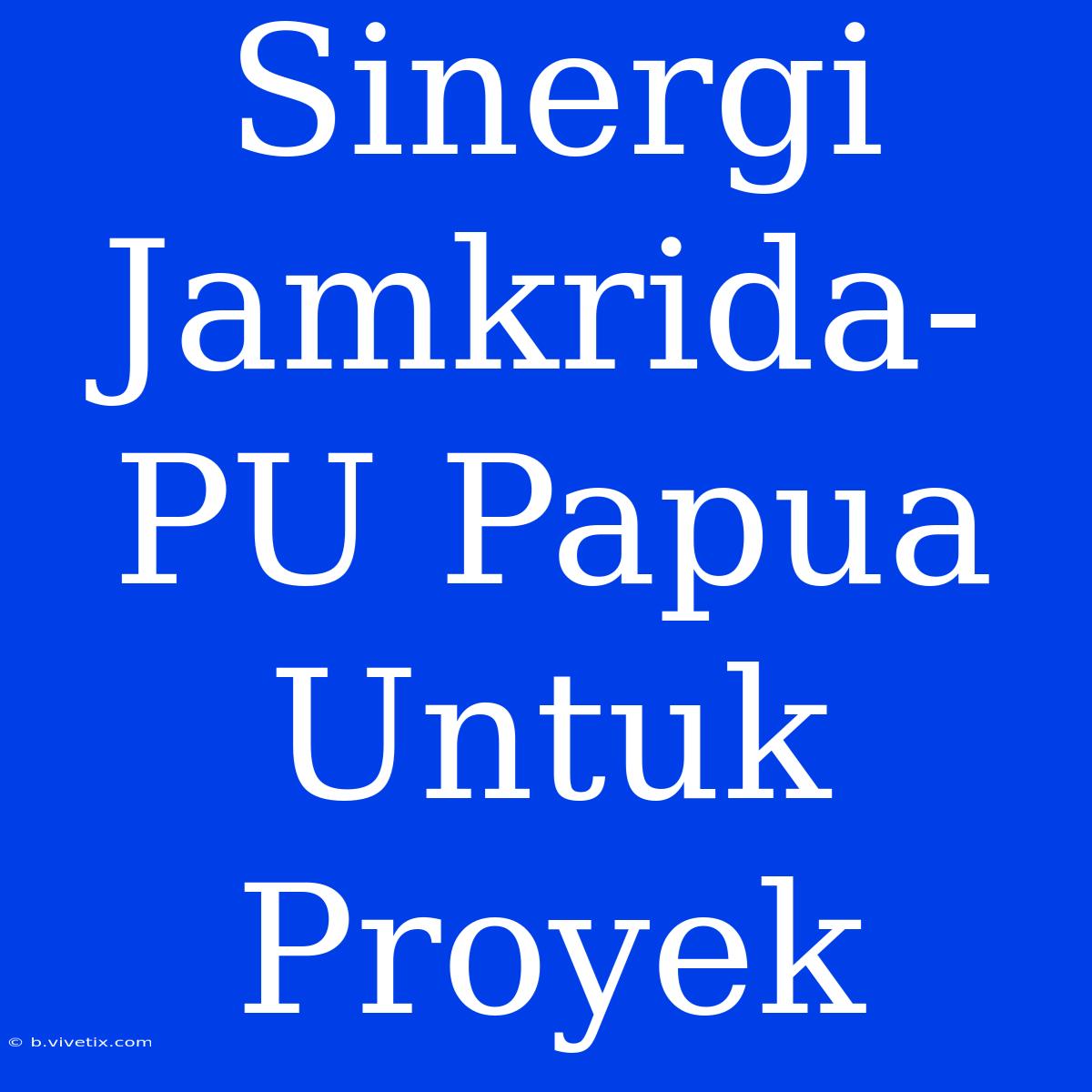 Sinergi Jamkrida-PU Papua Untuk Proyek