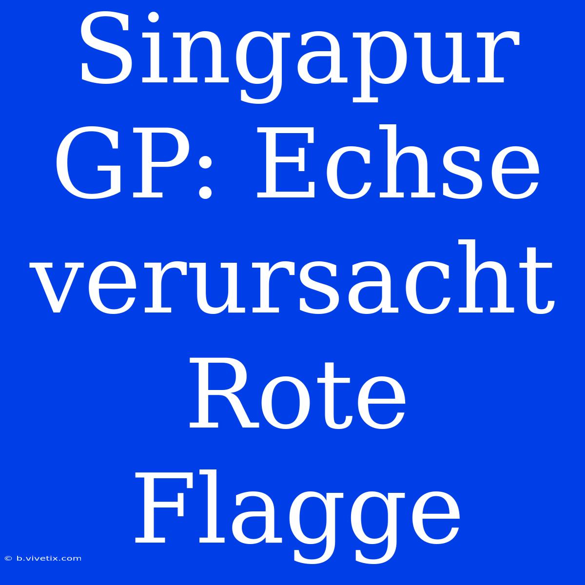 Singapur GP: Echse Verursacht Rote Flagge