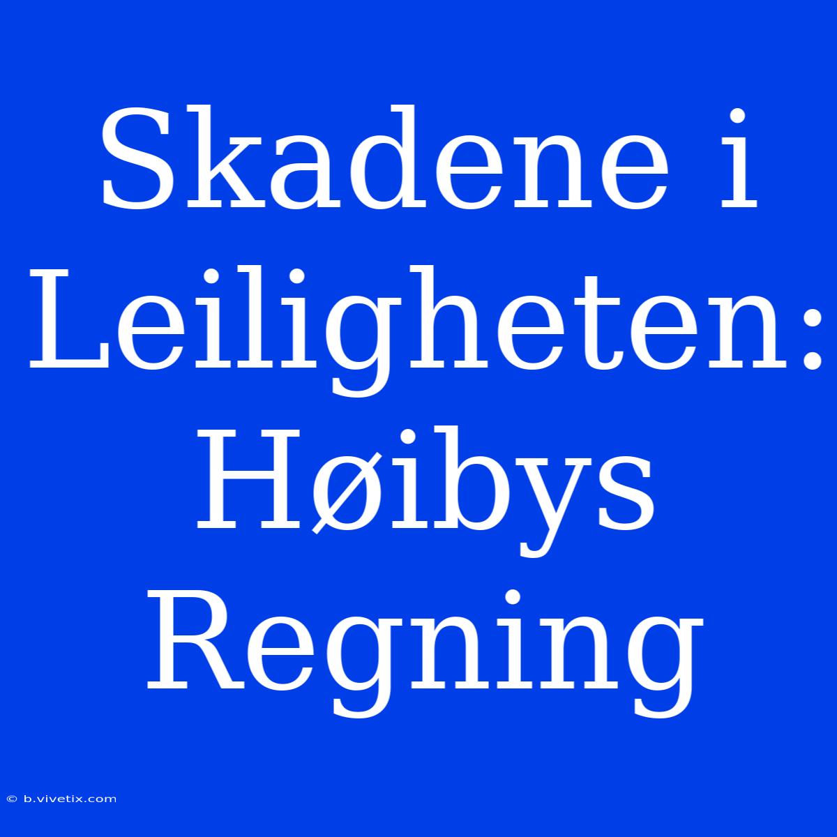 Skadene I Leiligheten: Høibys Regning