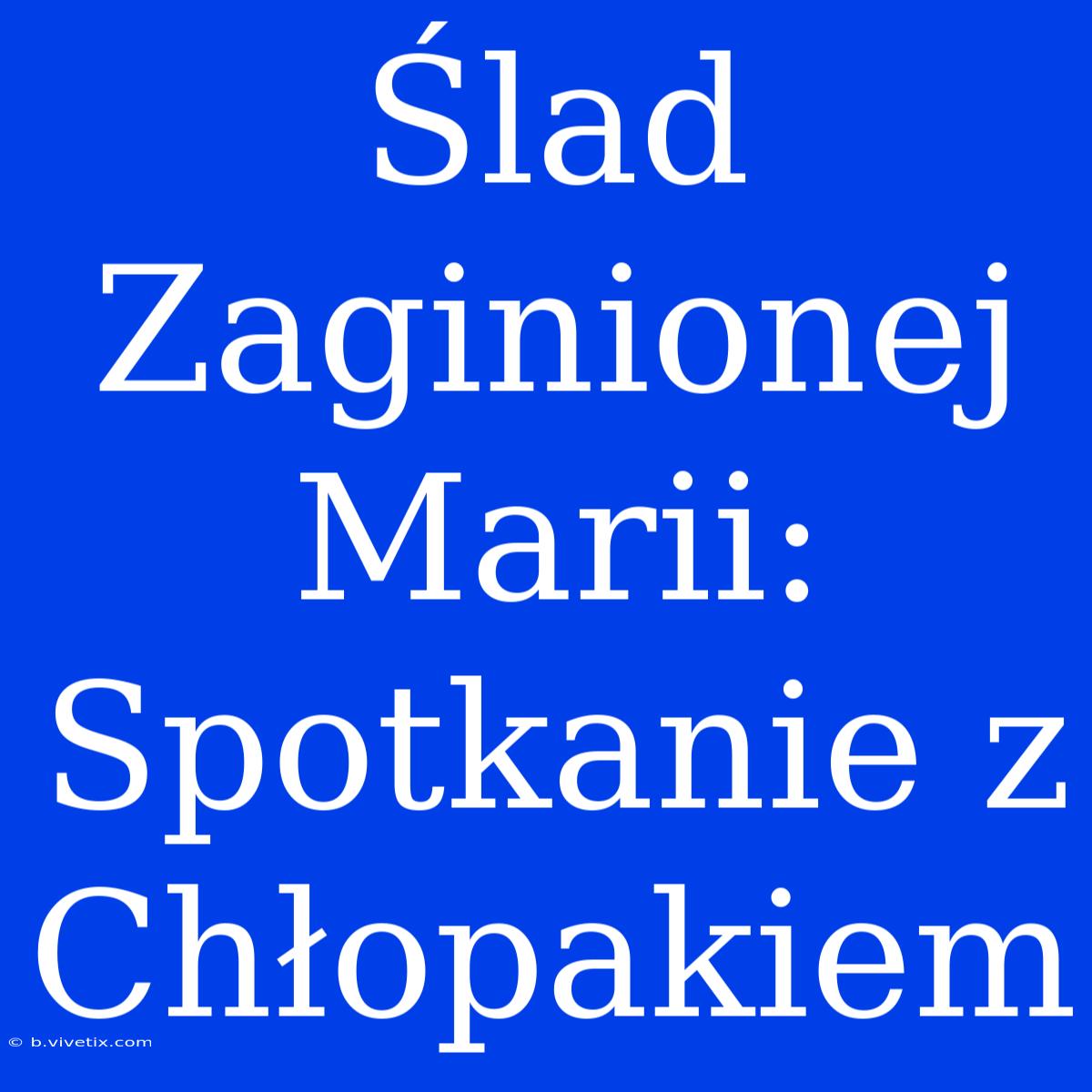 Ślad Zaginionej Marii: Spotkanie Z Chłopakiem