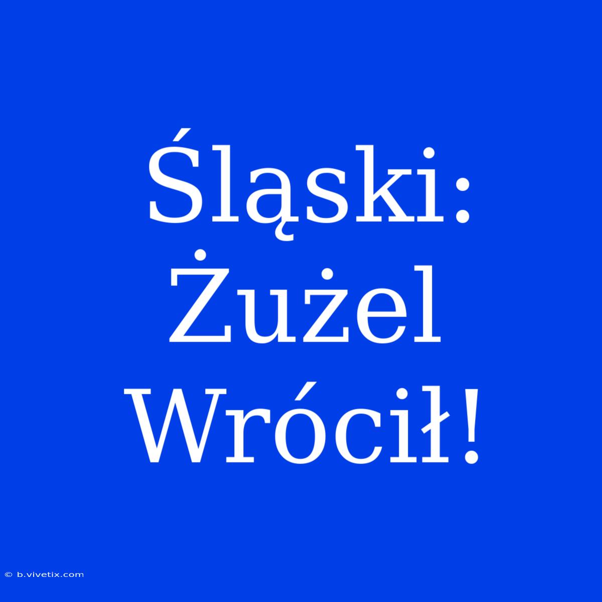 Śląski: Żużel Wrócił! 