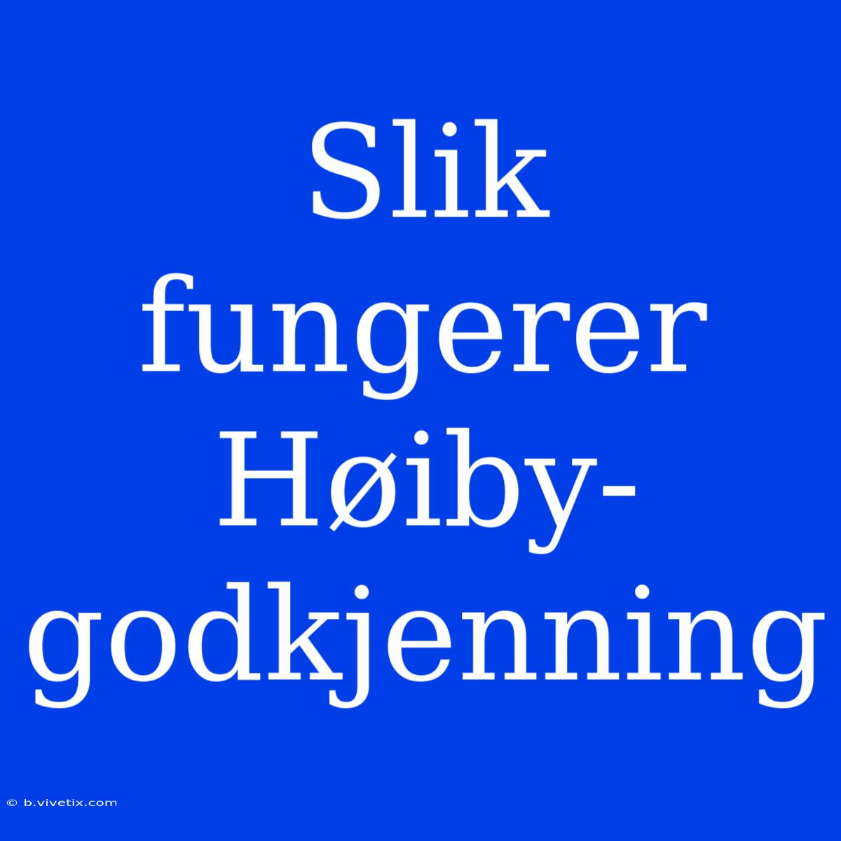 Slik Fungerer Høiby-godkjenning 