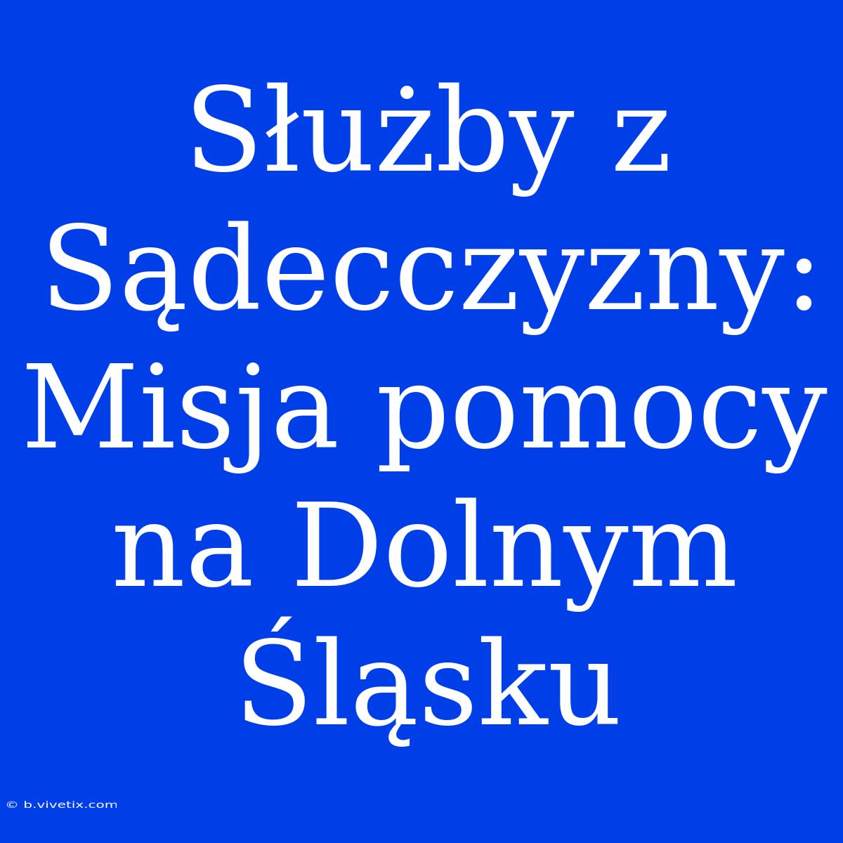 Służby Z Sądecczyzny: Misja Pomocy Na Dolnym Śląsku