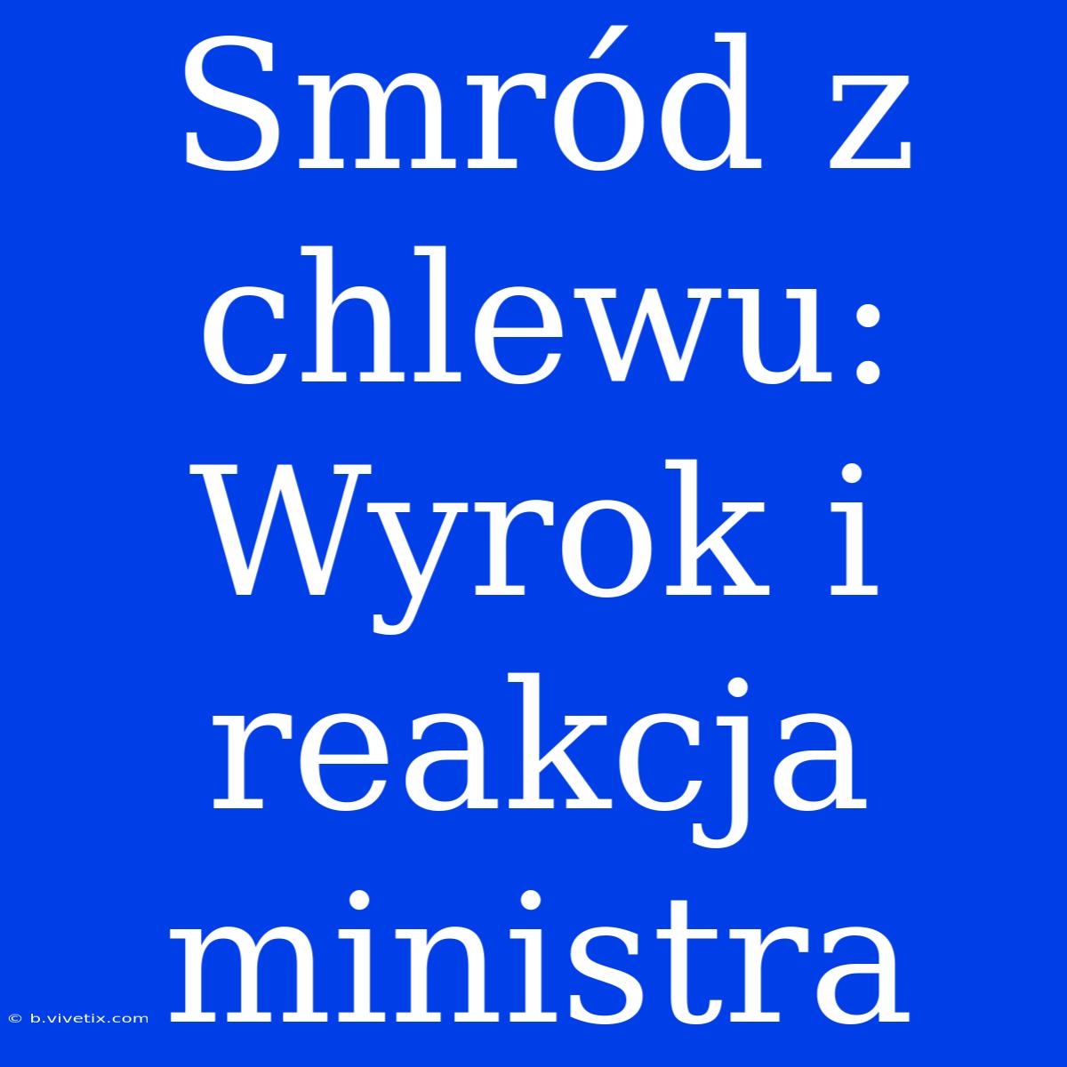 Smród Z Chlewu: Wyrok I Reakcja Ministra