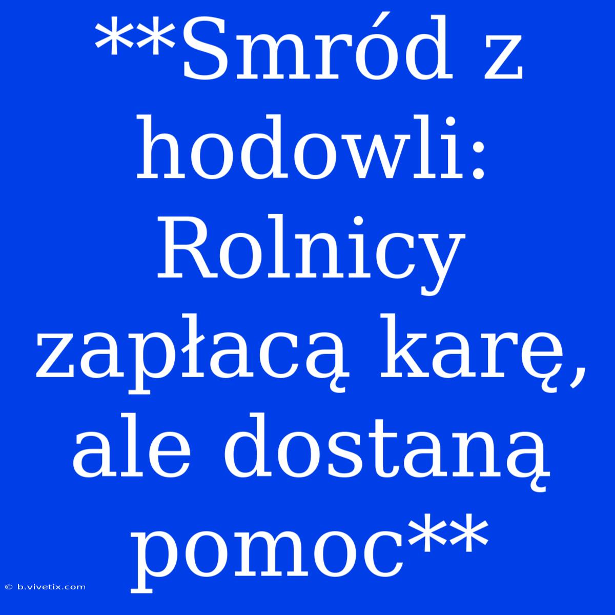 **Smród Z Hodowli: Rolnicy Zapłacą Karę, Ale Dostaną Pomoc**