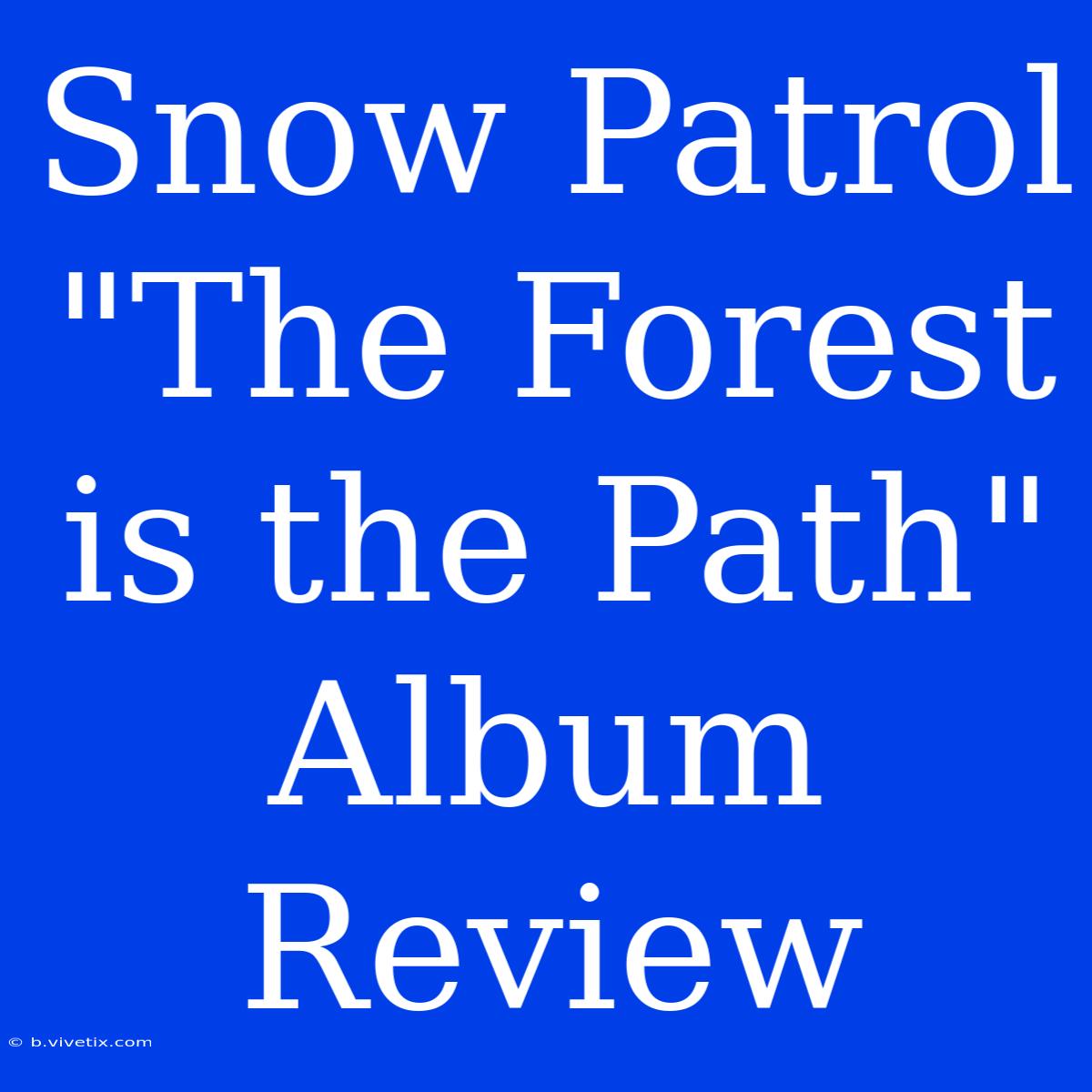 Snow Patrol: The Forest Is The Path Album Review