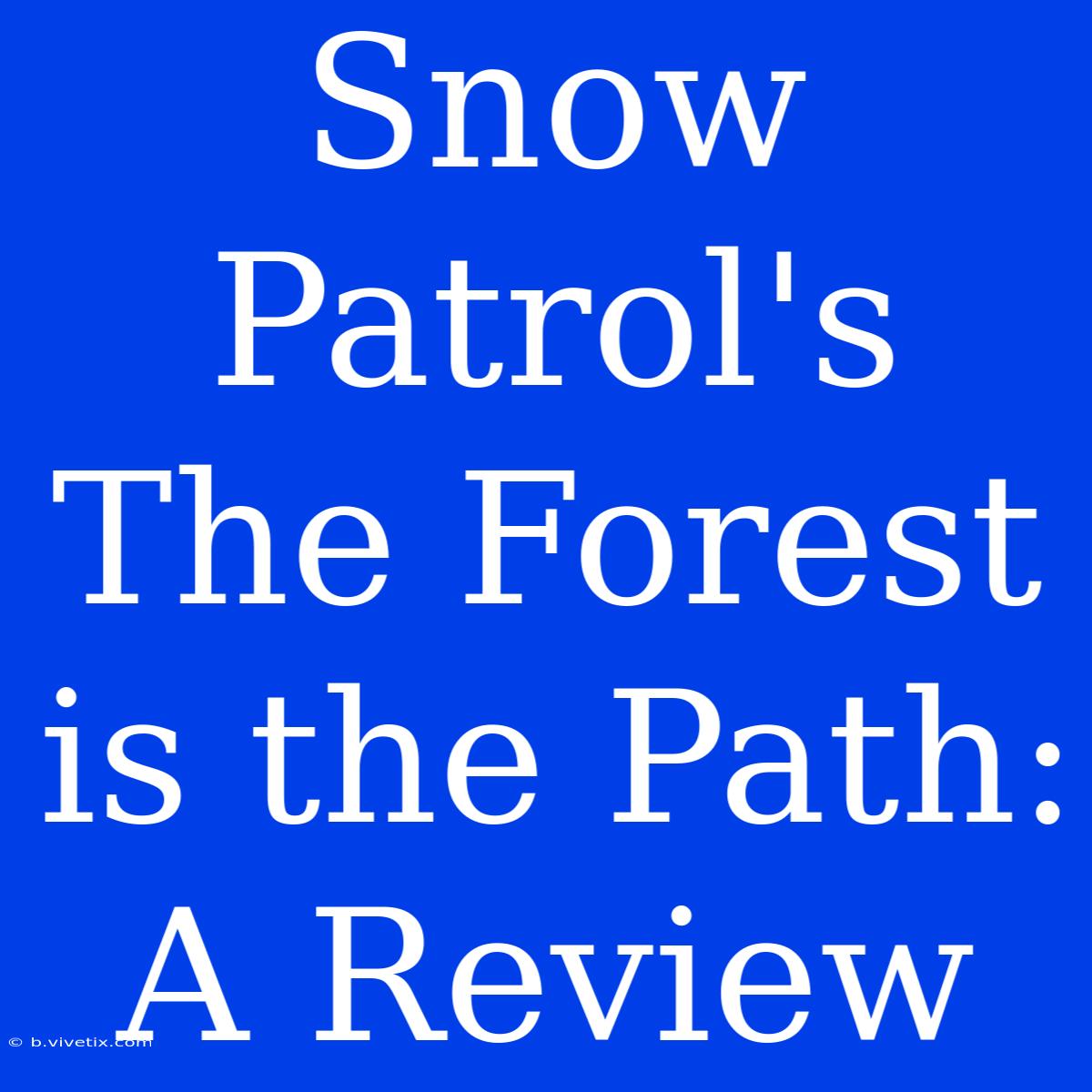 Snow Patrol's The Forest Is The Path: A Review