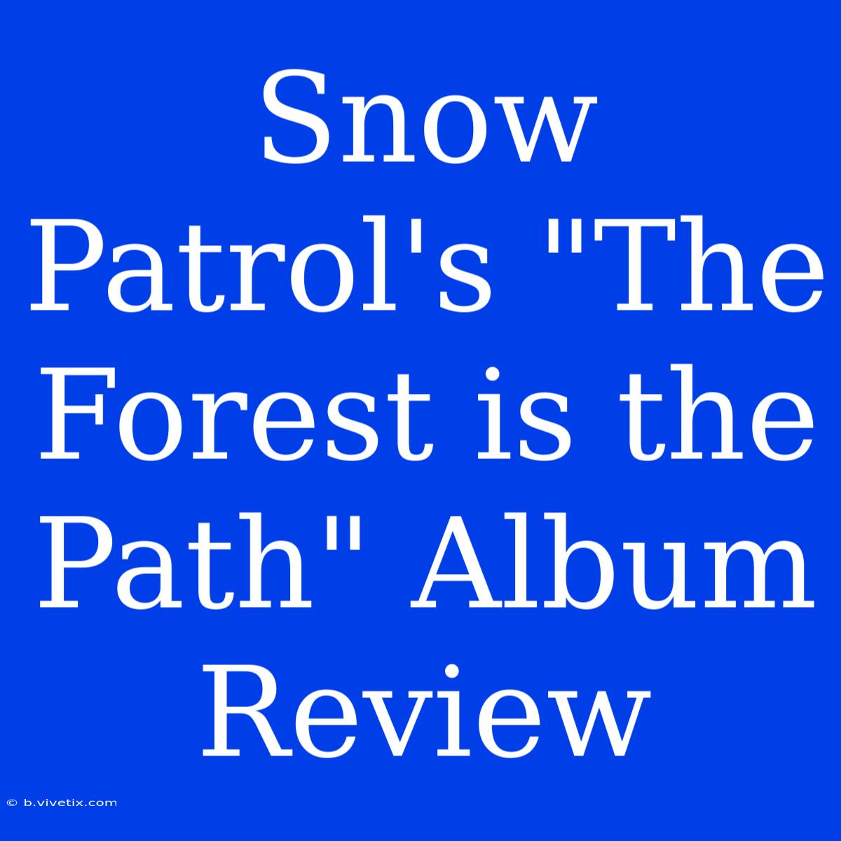 Snow Patrol's The Forest Is The Path: Album Review