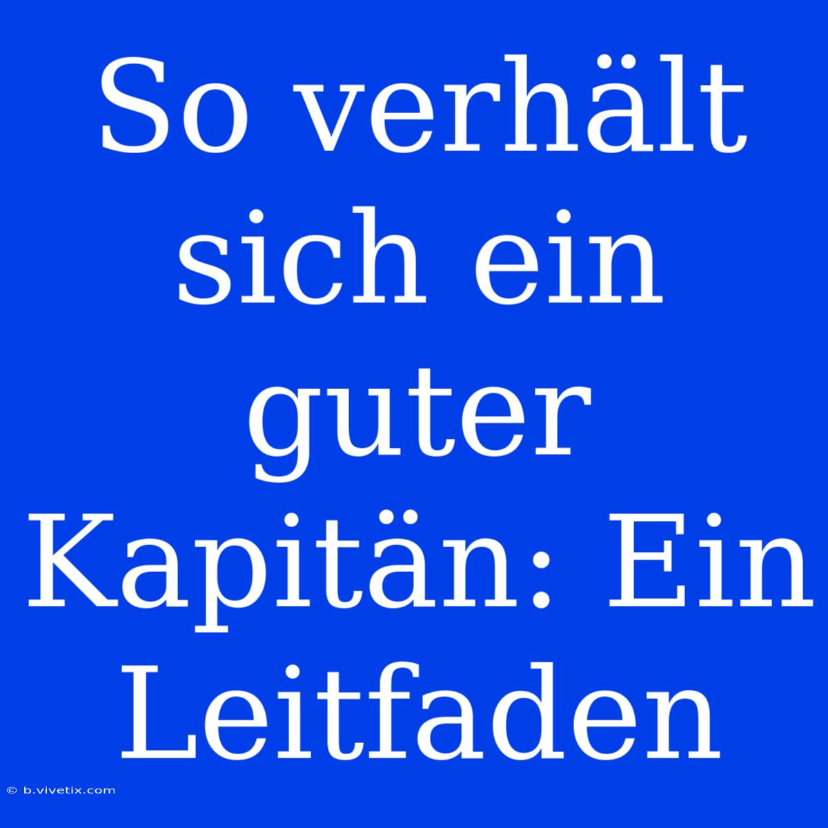 So Verhält Sich Ein Guter Kapitän: Ein Leitfaden