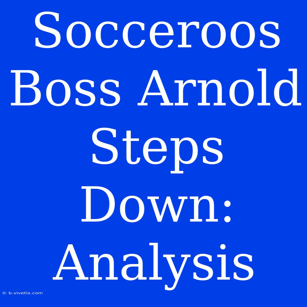 Socceroos Boss Arnold Steps Down: Analysis