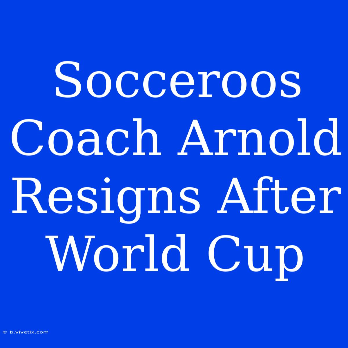 Socceroos Coach Arnold Resigns After World Cup