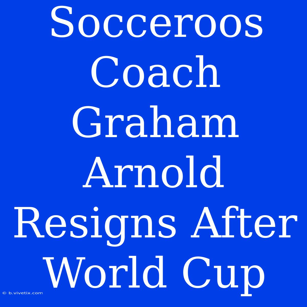 Socceroos Coach Graham Arnold Resigns After World Cup