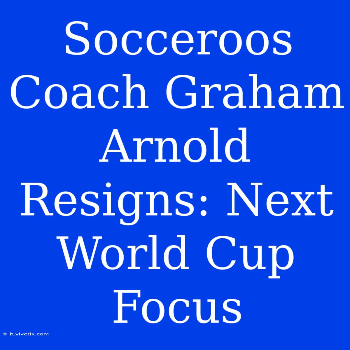 Socceroos Coach Graham Arnold Resigns: Next World Cup Focus