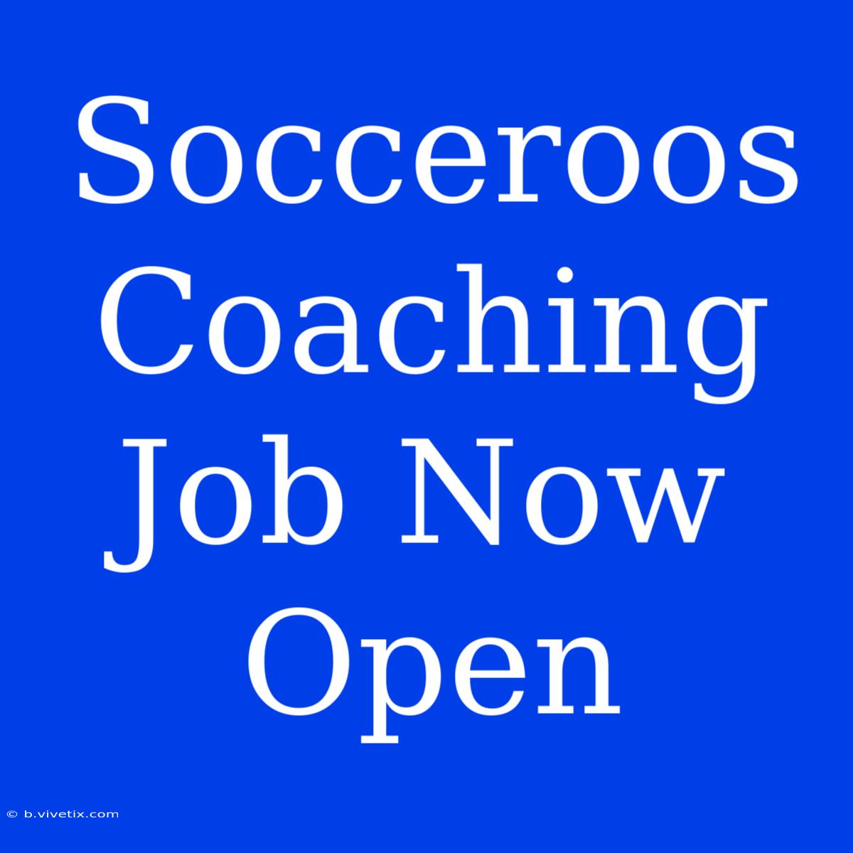 Socceroos Coaching Job Now Open