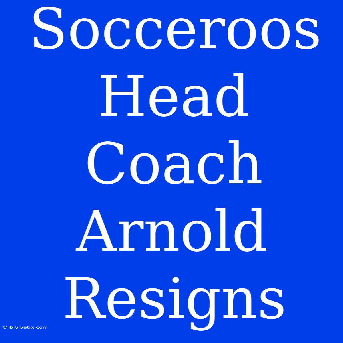 Socceroos Head Coach Arnold Resigns