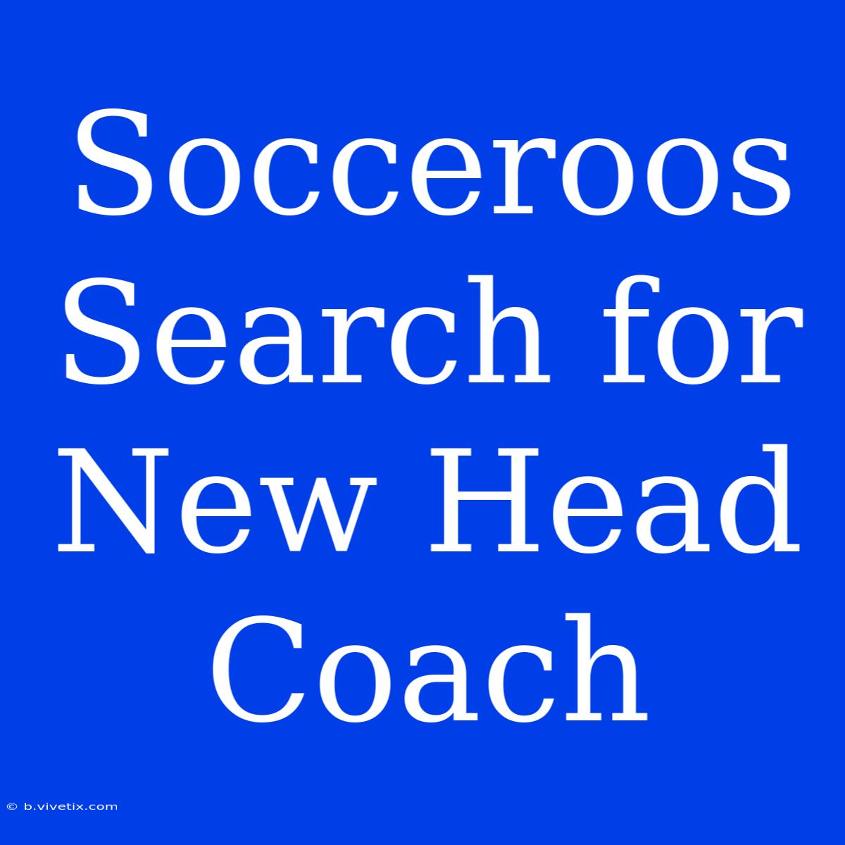 Socceroos Search For New Head Coach 