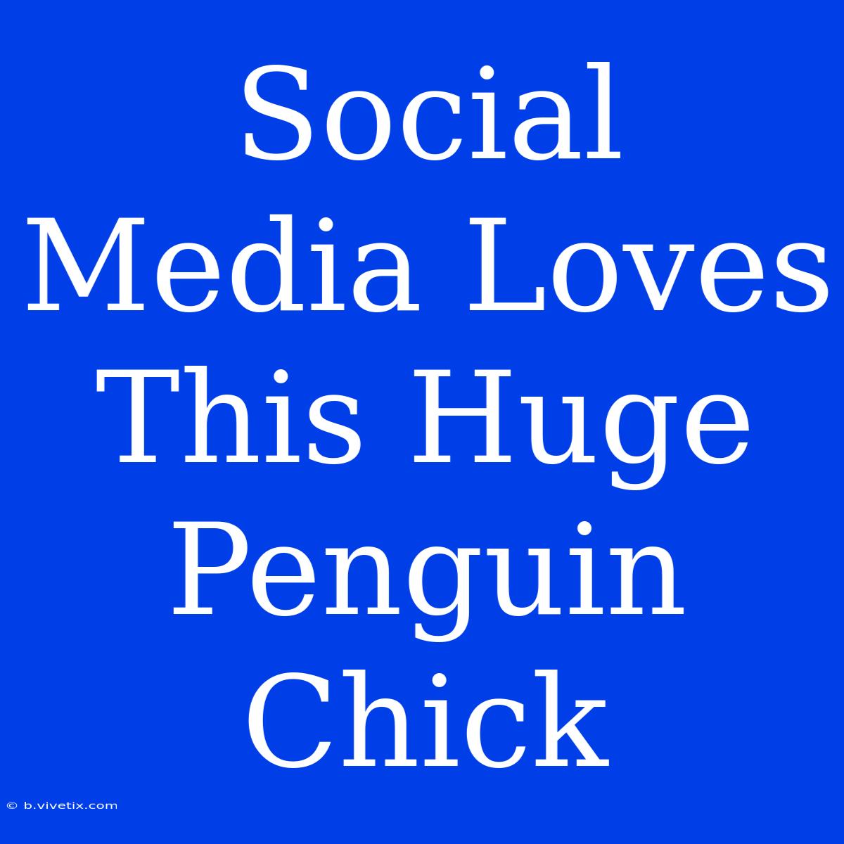 Social Media Loves This Huge Penguin Chick