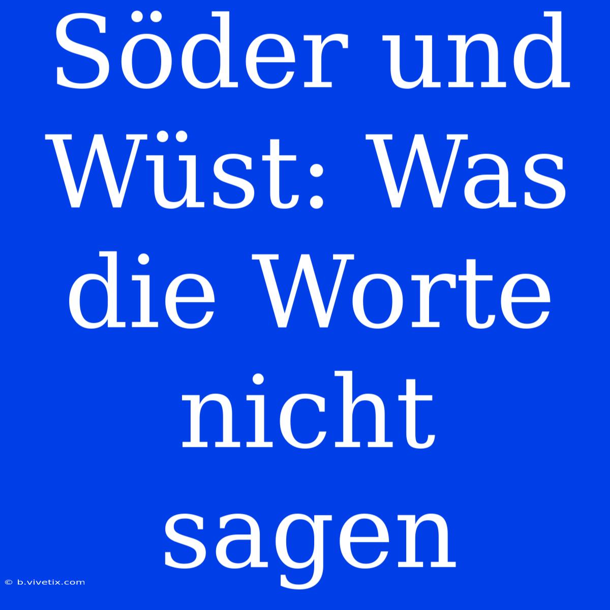 Söder Und Wüst: Was Die Worte Nicht Sagen