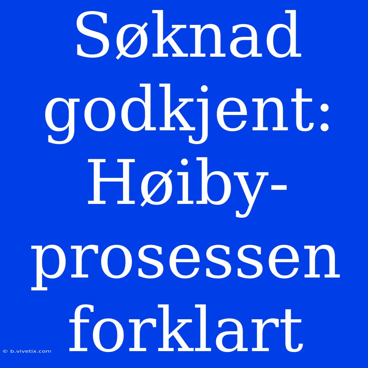 Søknad Godkjent: Høiby-prosessen Forklart