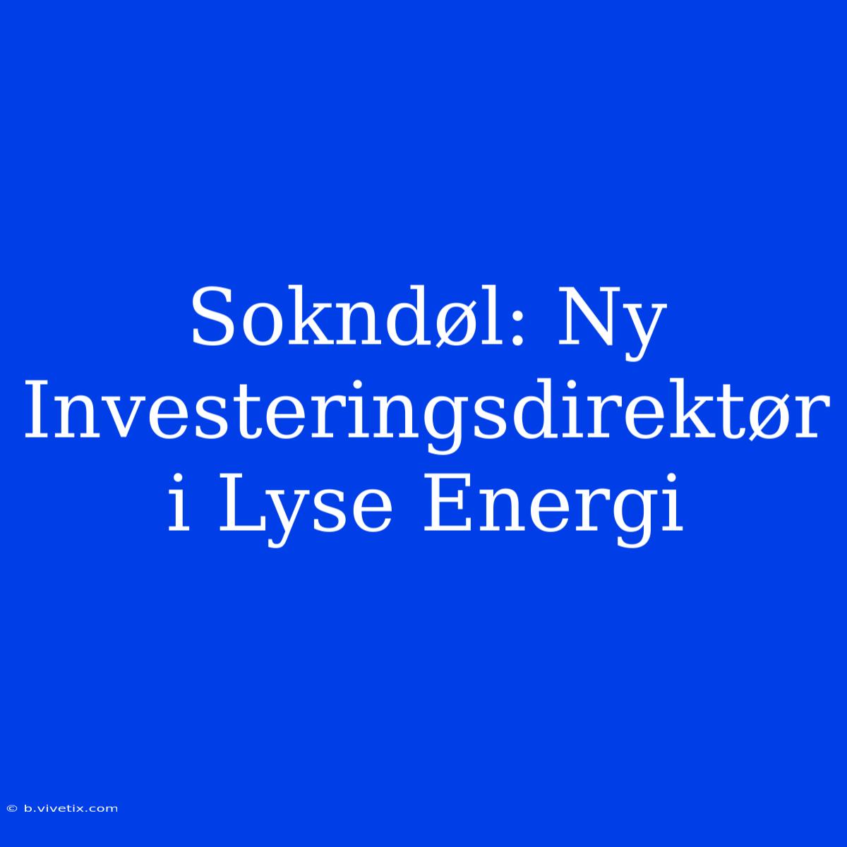 Sokndøl: Ny Investeringsdirektør I Lyse Energi