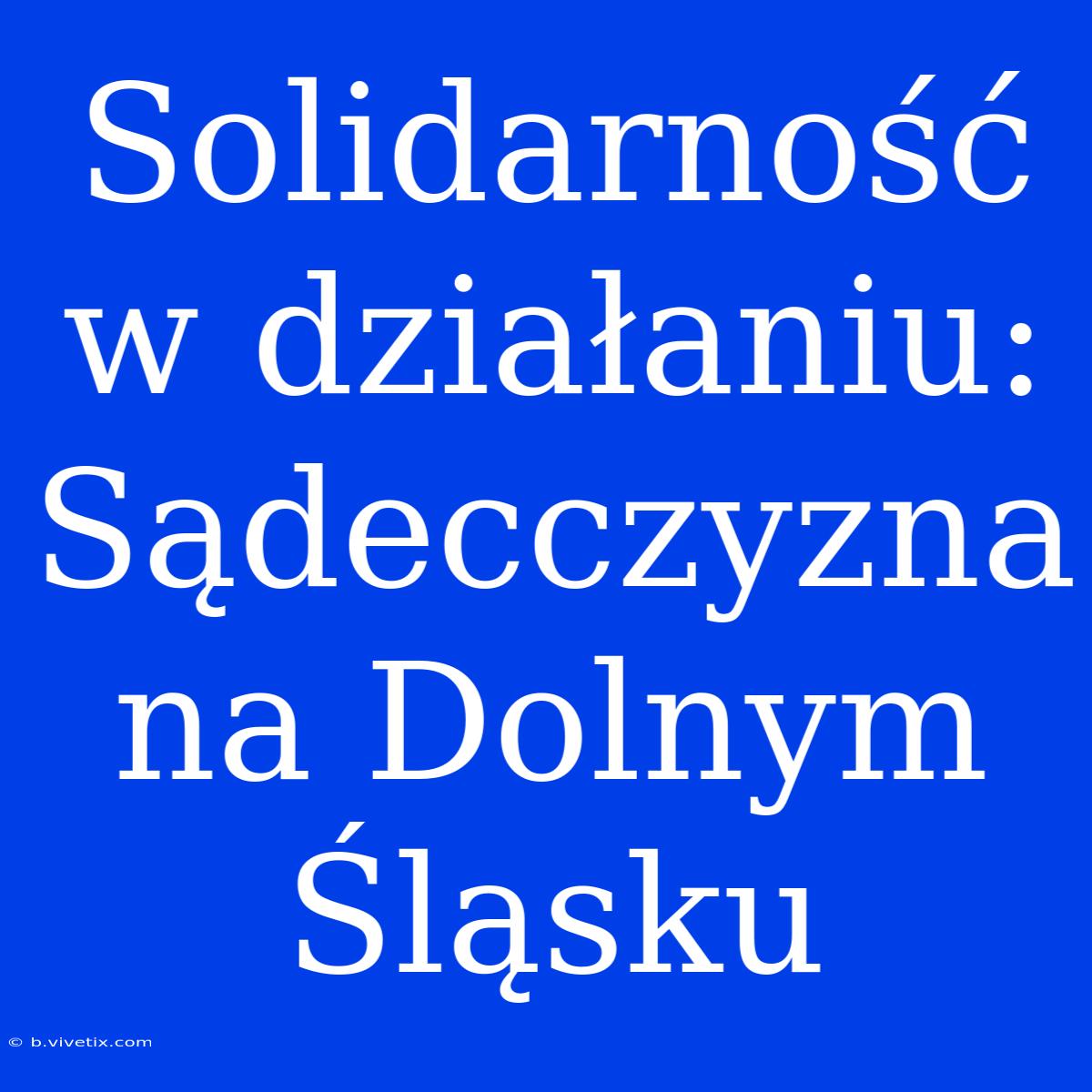 Solidarność W Działaniu: Sądecczyzna Na Dolnym Śląsku