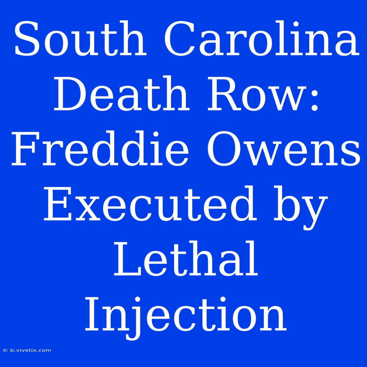 South Carolina Death Row: Freddie Owens Executed By Lethal Injection