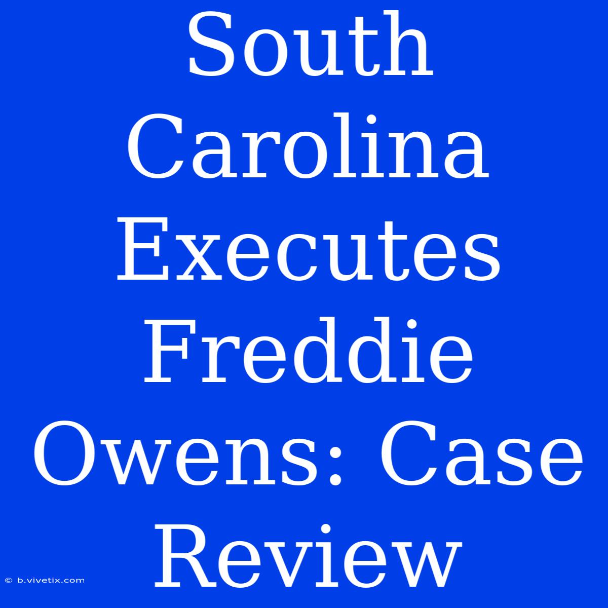 South Carolina Executes Freddie Owens: Case Review