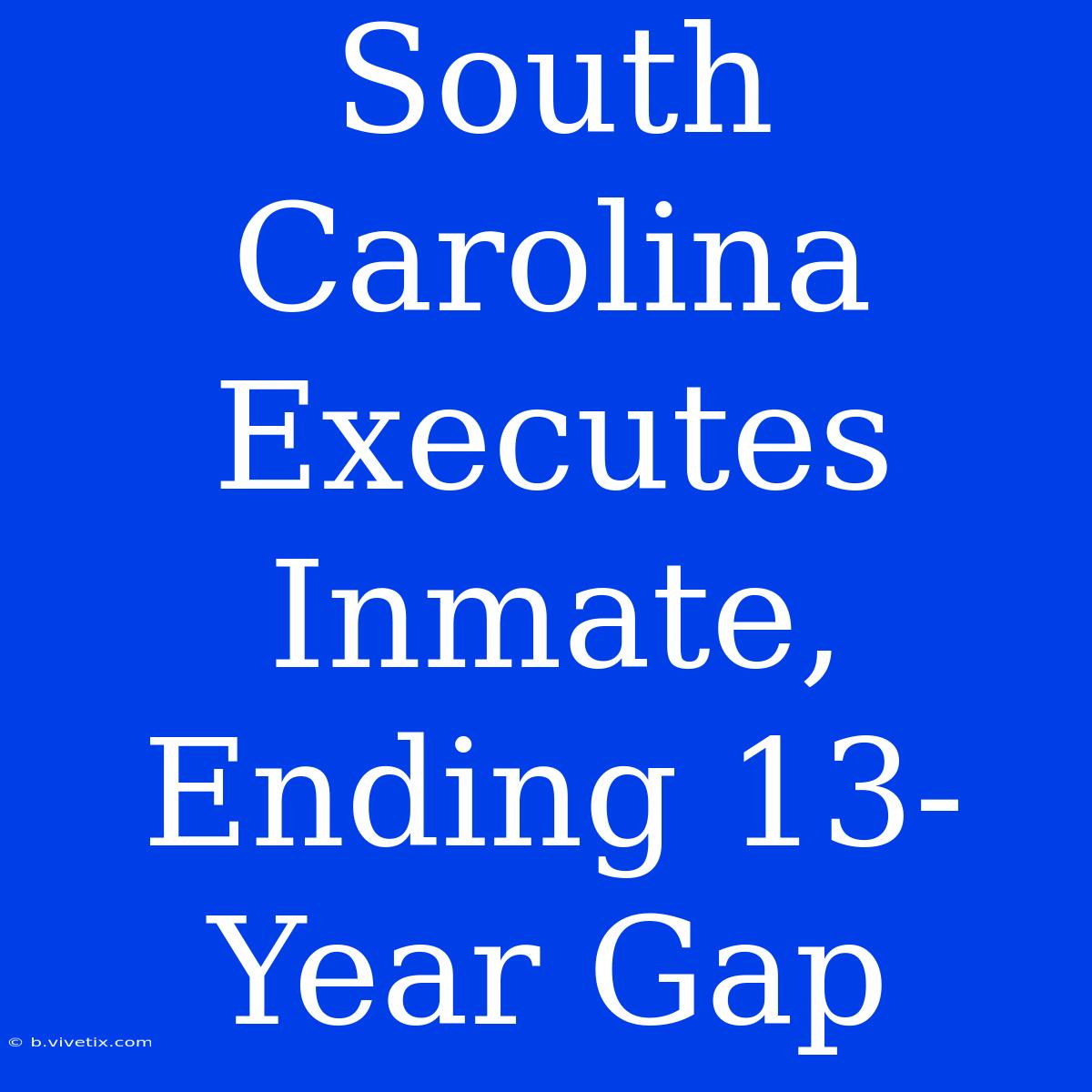 South Carolina Executes Inmate, Ending 13-Year Gap