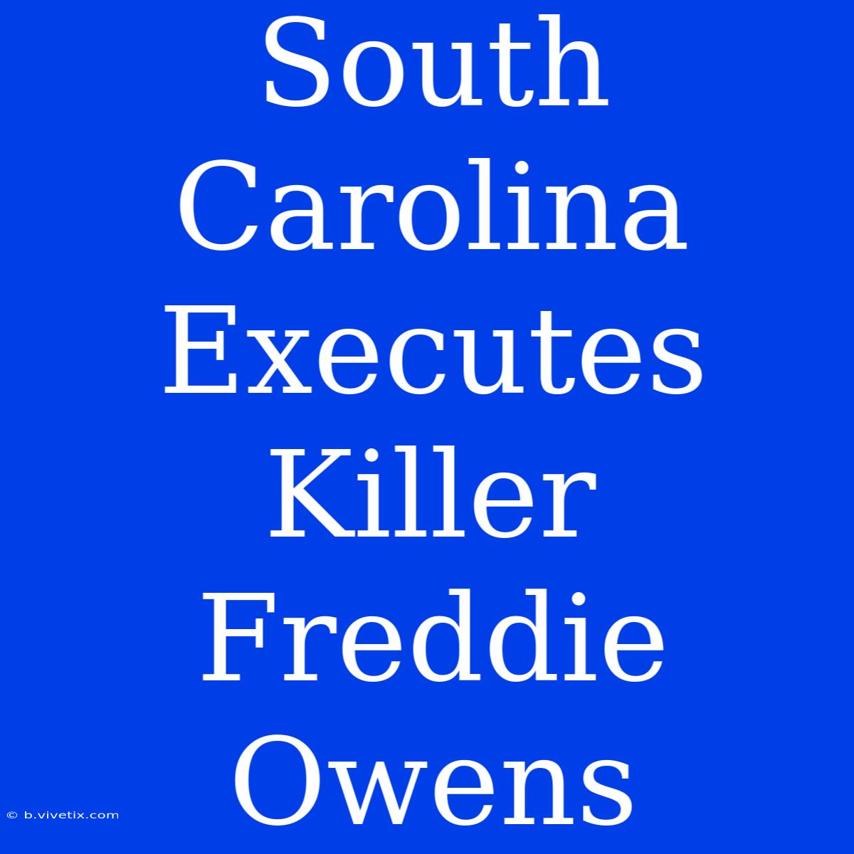 South Carolina Executes Killer Freddie Owens