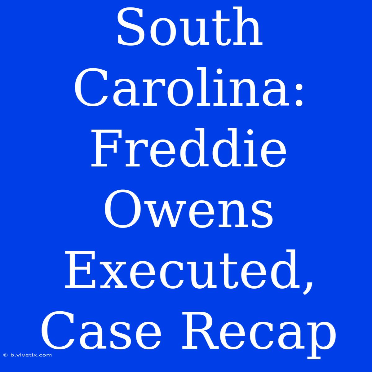 South Carolina: Freddie Owens Executed, Case Recap