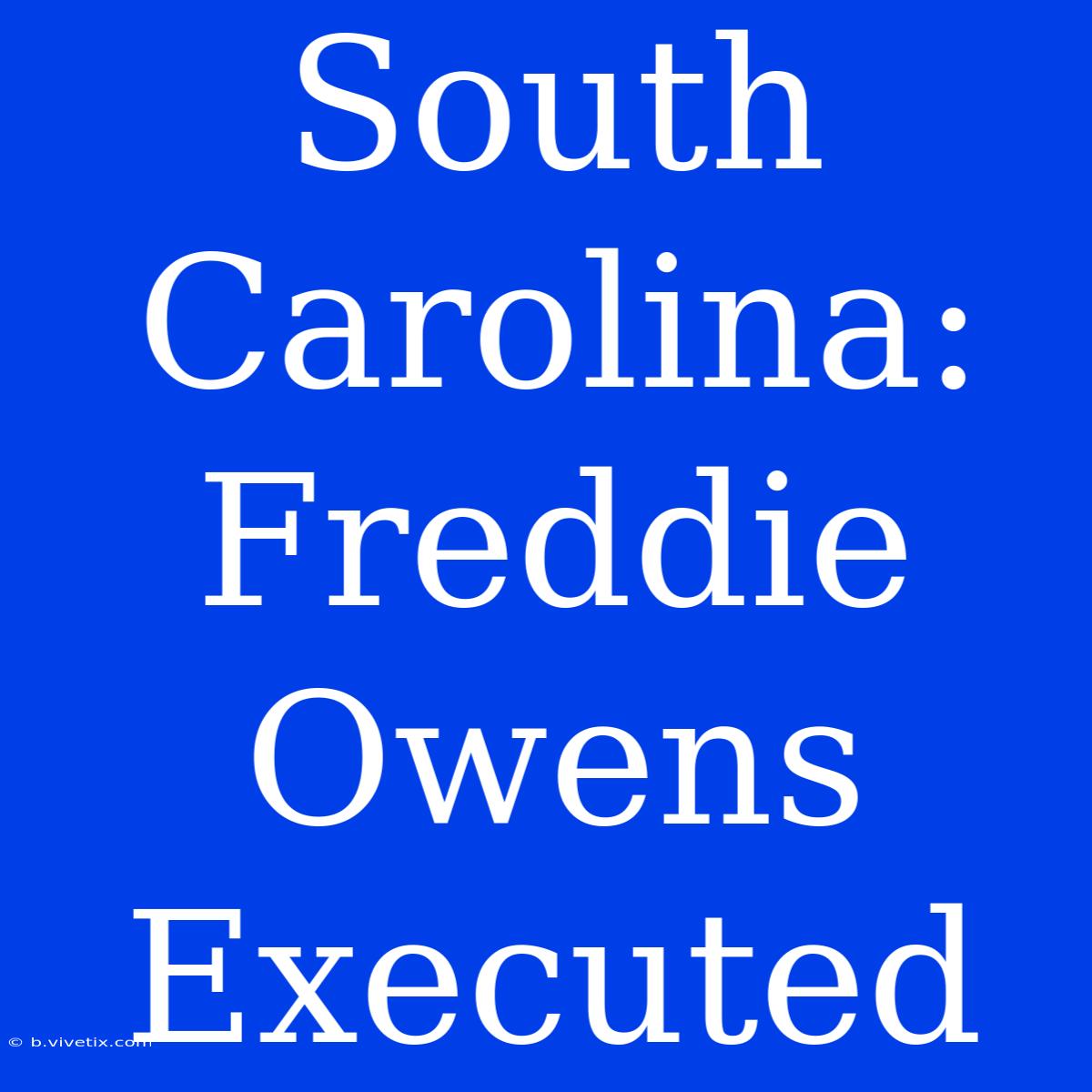 South Carolina: Freddie Owens Executed