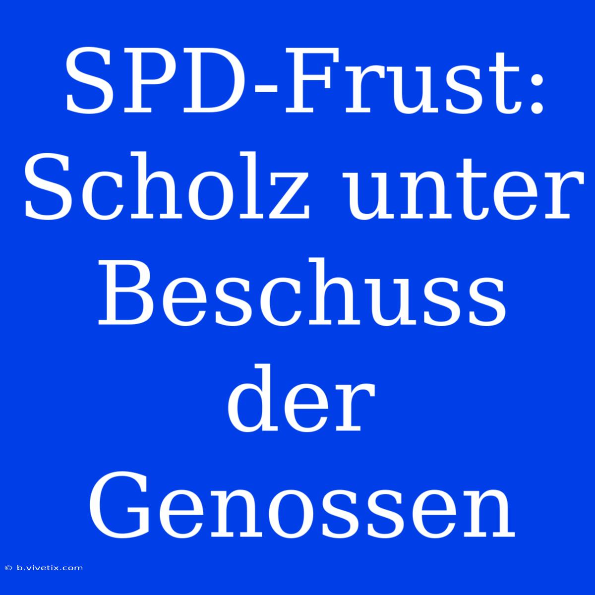 SPD-Frust: Scholz Unter Beschuss Der Genossen