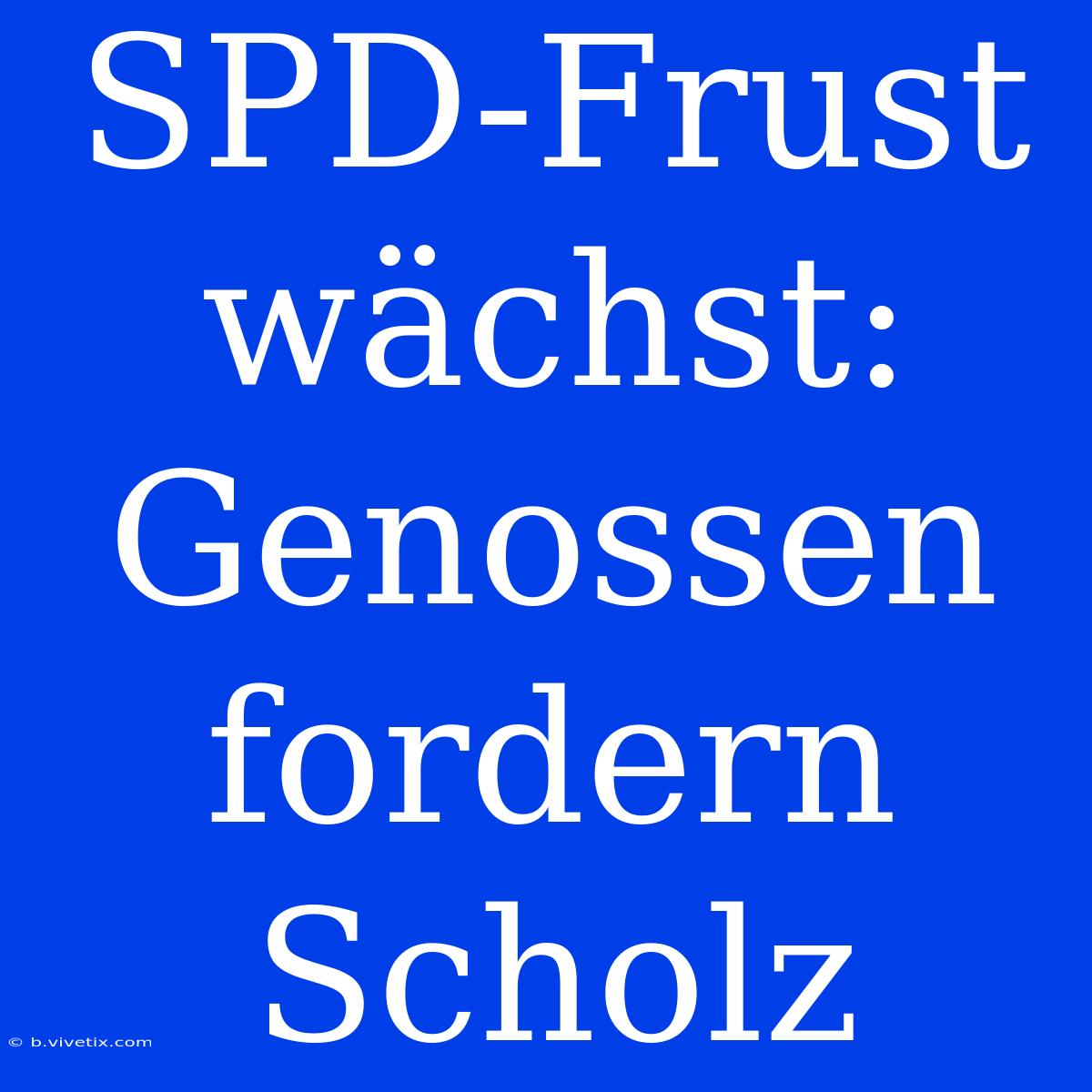 SPD-Frust Wächst: Genossen Fordern Scholz