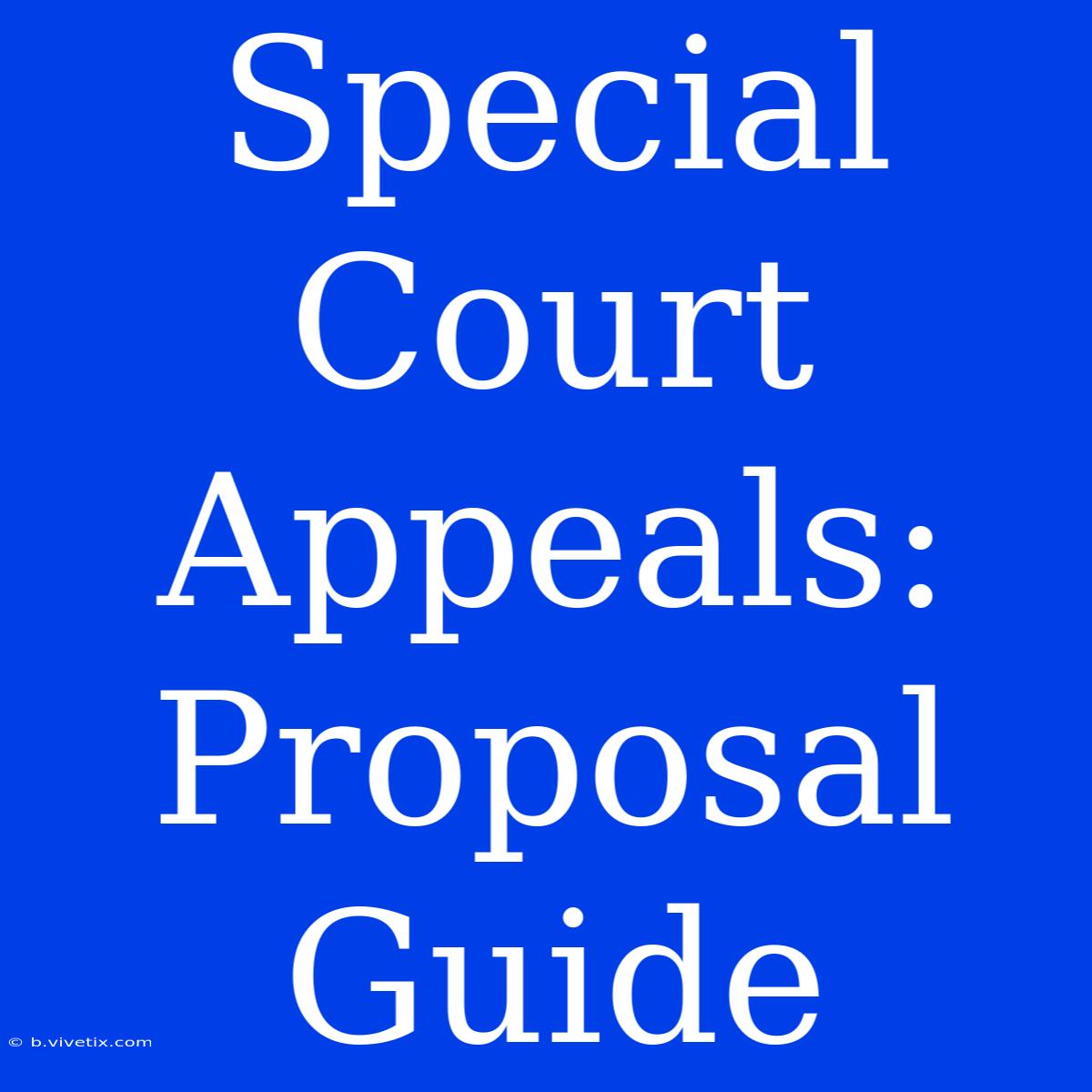 Special Court Appeals: Proposal Guide