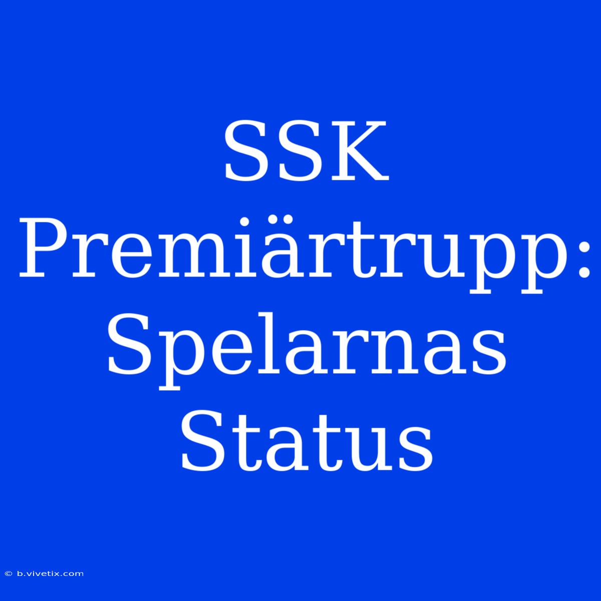 SSK Premiärtrupp: Spelarnas Status