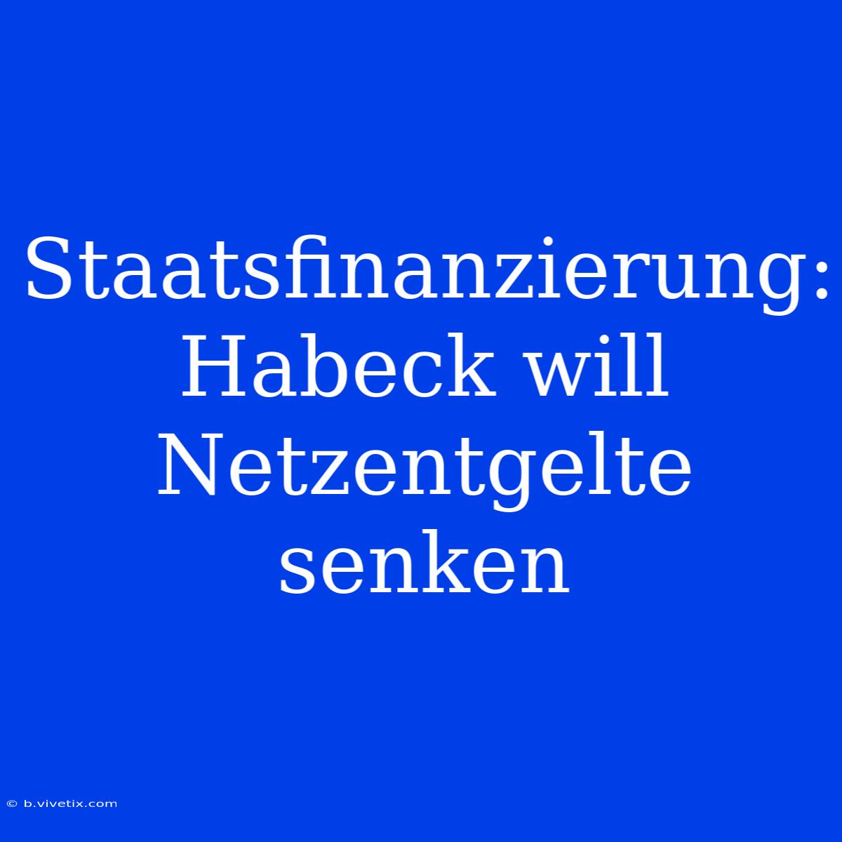 Staatsfinanzierung: Habeck Will Netzentgelte Senken