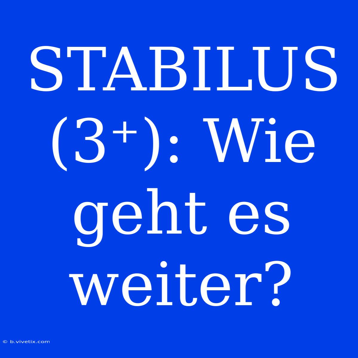 STABILUS (3⁺): Wie Geht Es Weiter?