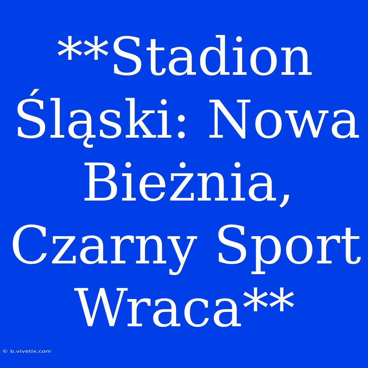 **Stadion Śląski: Nowa Bieżnia, Czarny Sport Wraca**