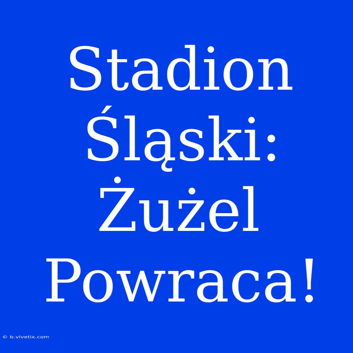 Stadion Śląski: Żużel Powraca!