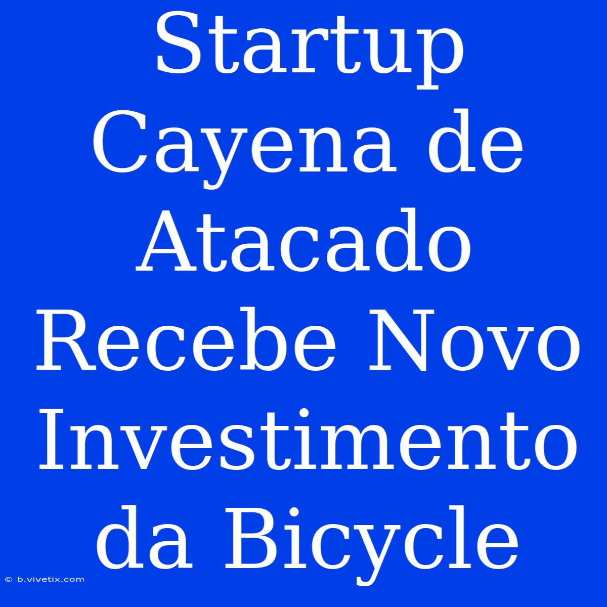 Startup Cayena De Atacado Recebe Novo Investimento Da Bicycle