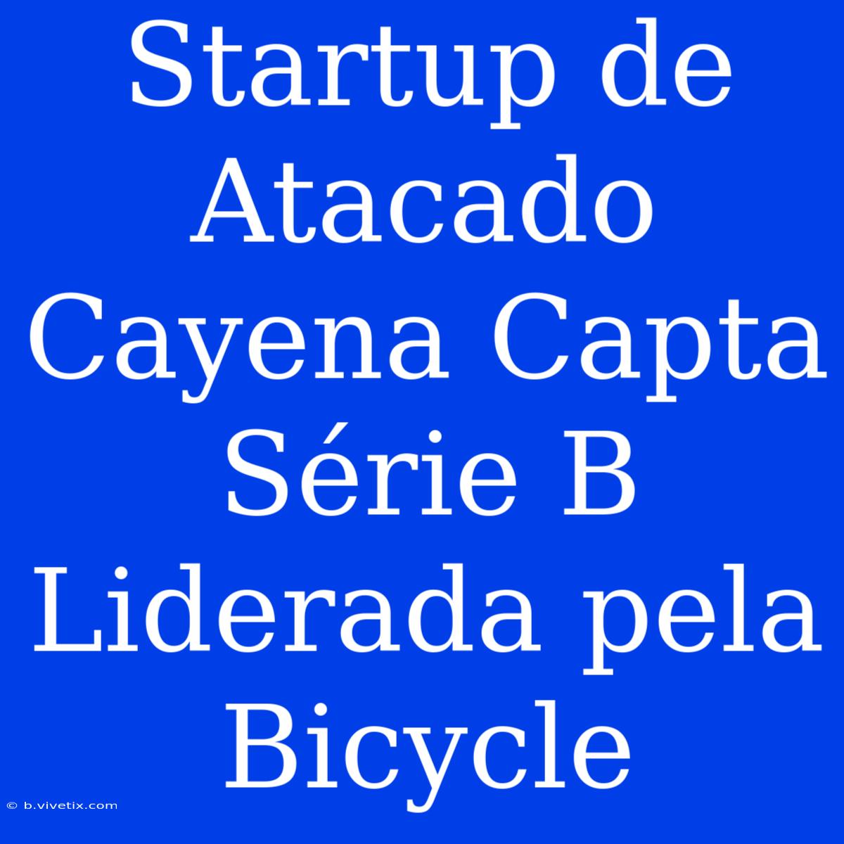 Startup De Atacado Cayena Capta Série B Liderada Pela Bicycle