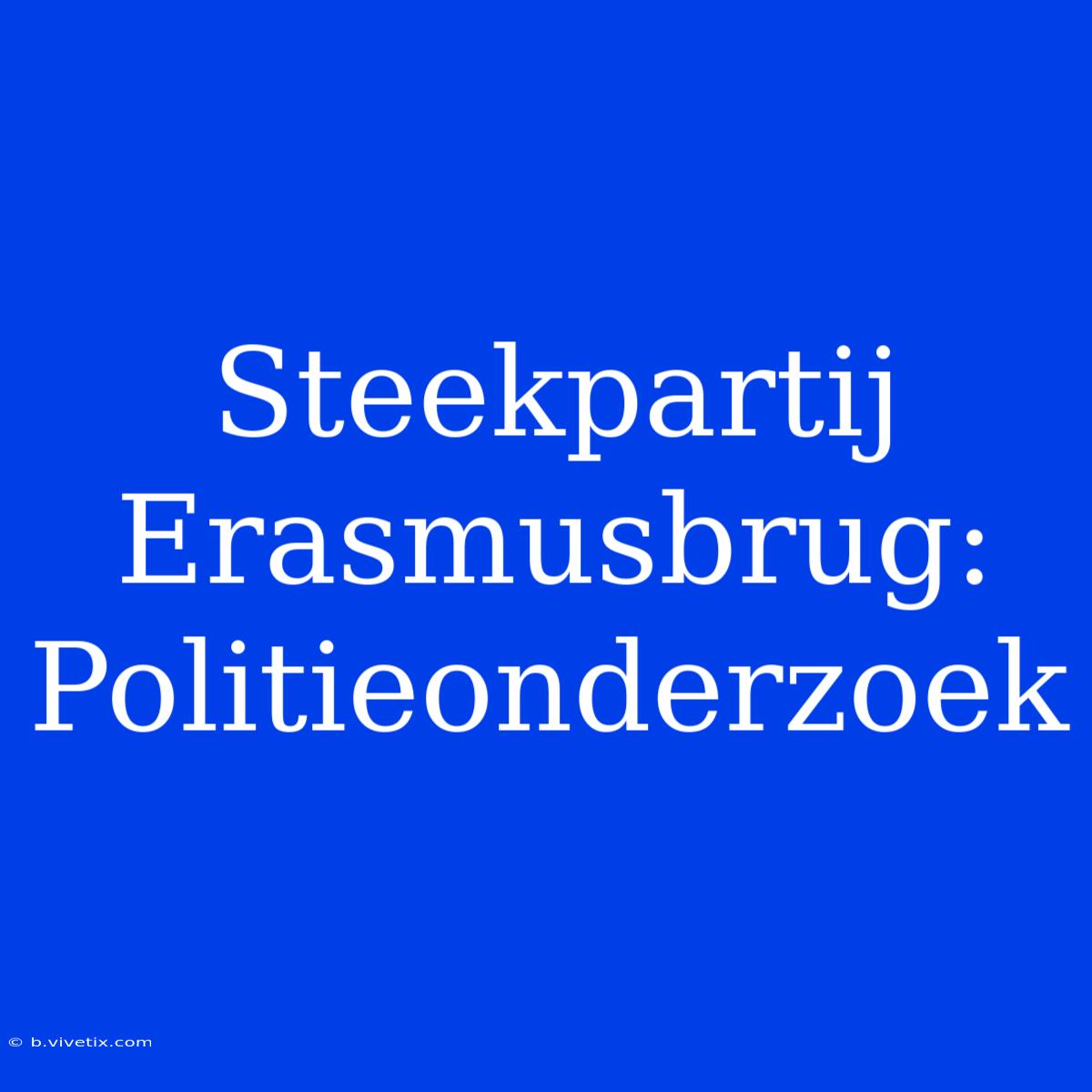 Steekpartij Erasmusbrug: Politieonderzoek