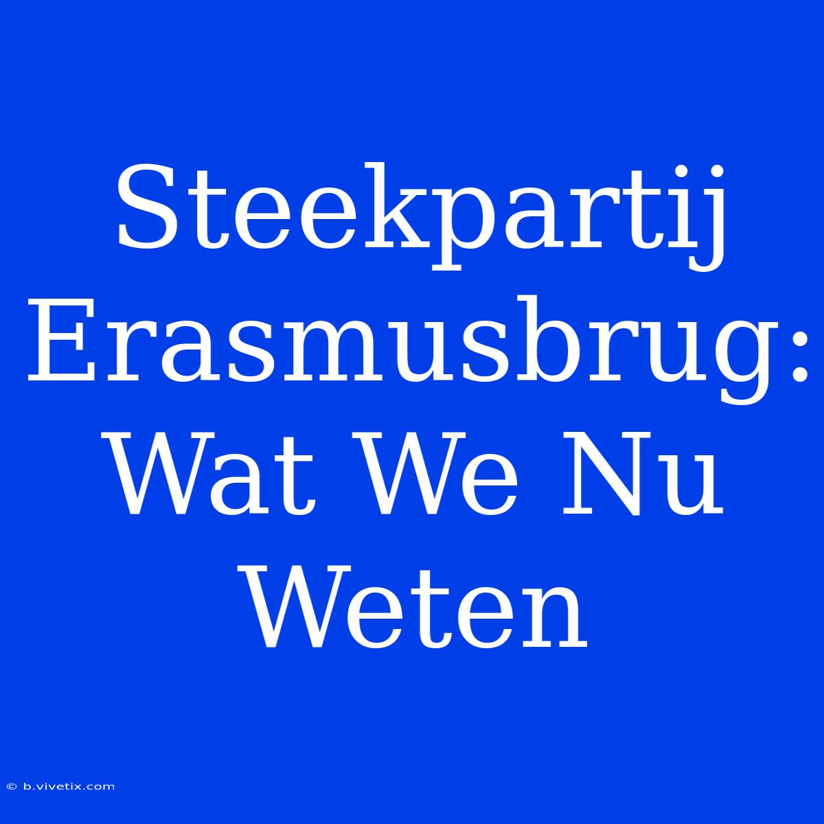 Steekpartij Erasmusbrug: Wat We Nu Weten