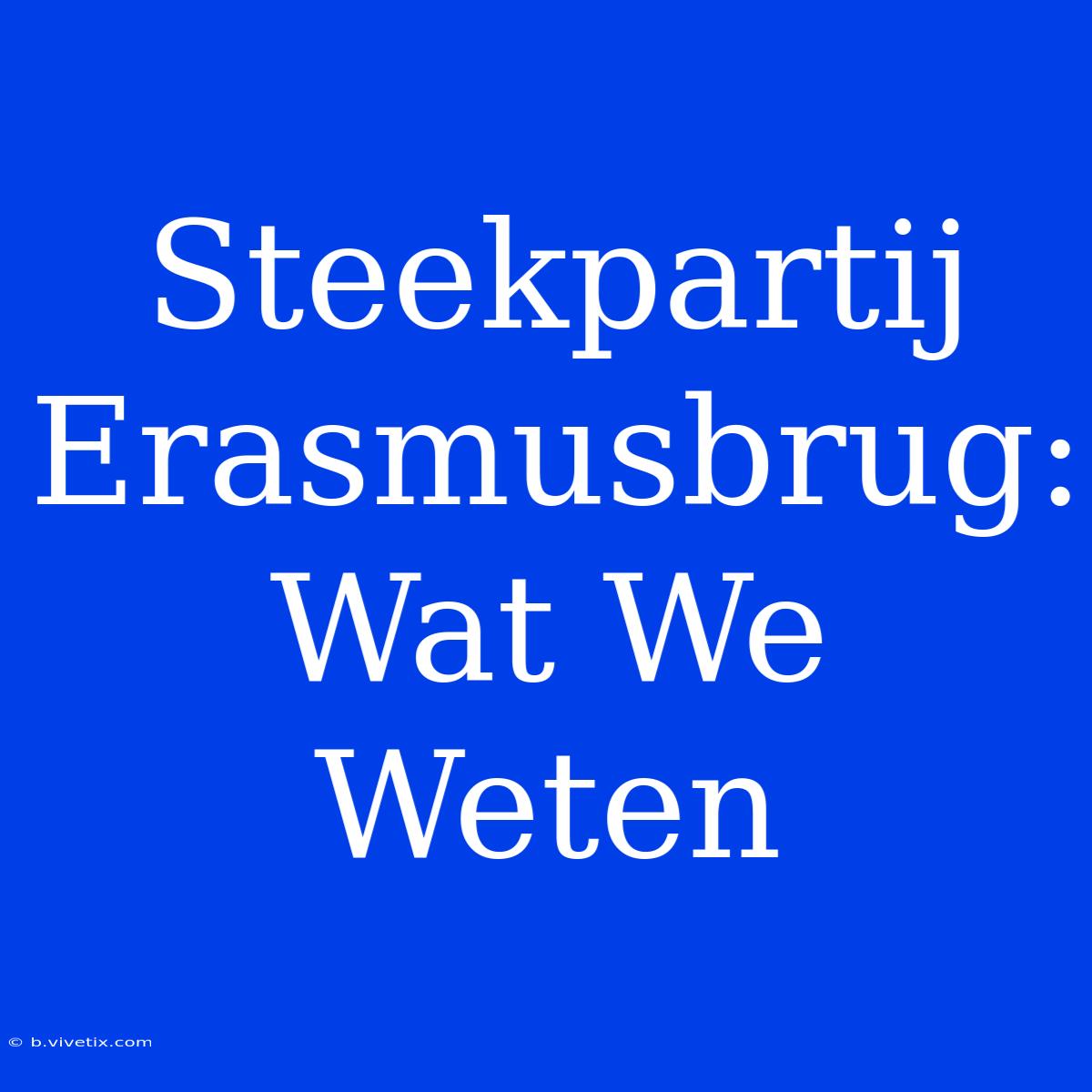 Steekpartij Erasmusbrug: Wat We Weten