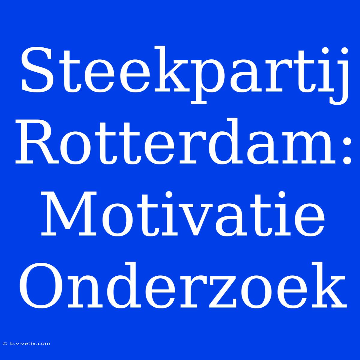 Steekpartij Rotterdam: Motivatie Onderzoek