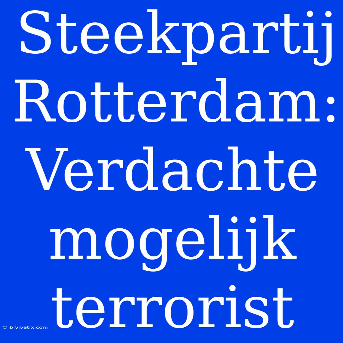 Steekpartij Rotterdam: Verdachte Mogelijk Terrorist